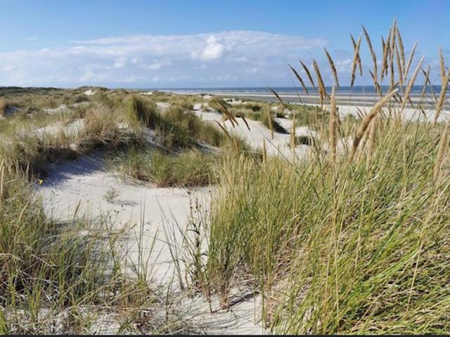 Seeblick Lachmoewe, Exklusive Lage In Strandnaehe Вангероге Экстерьер фото